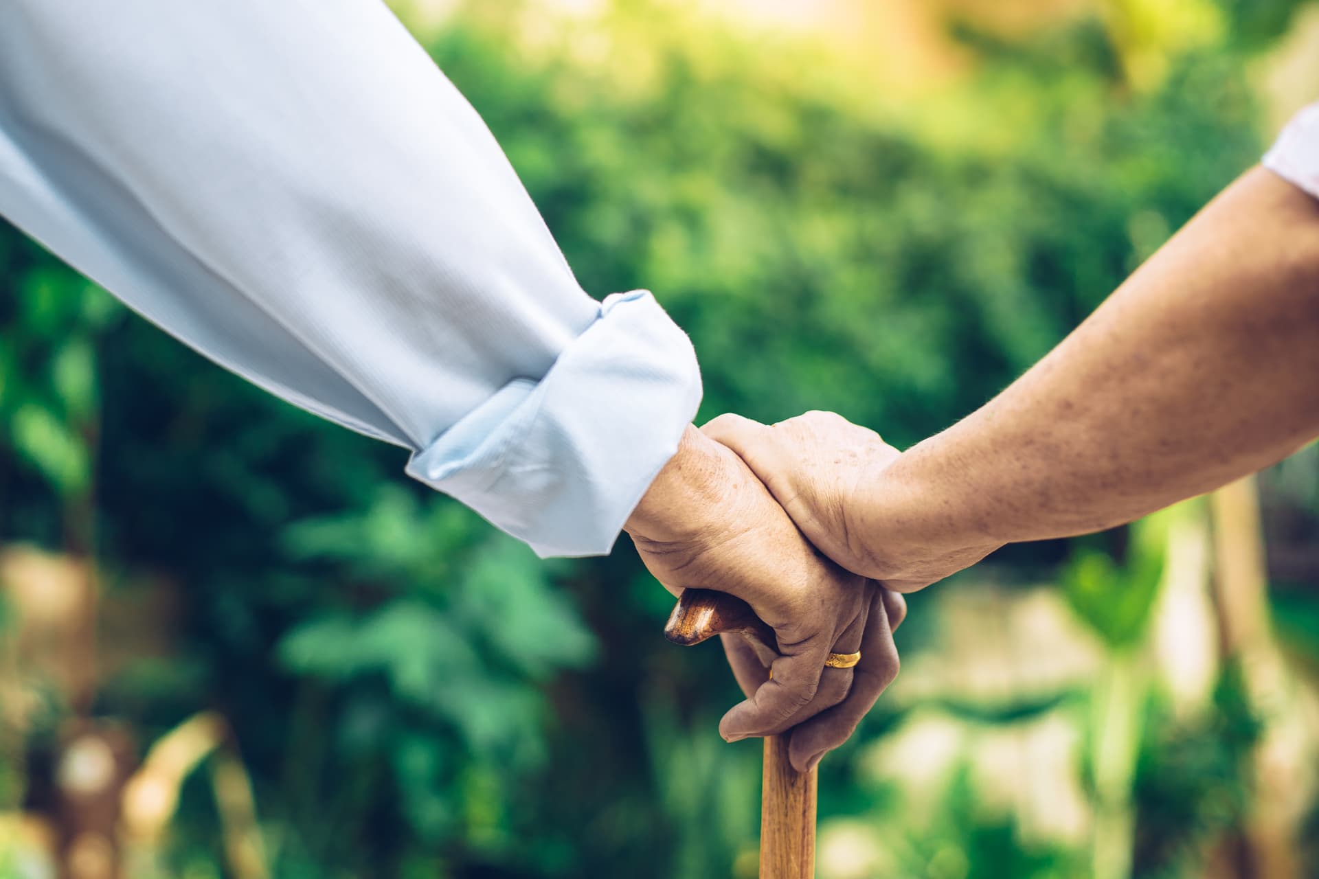 Two people's hands resting together on a walking cane, surrounded by green leaves
