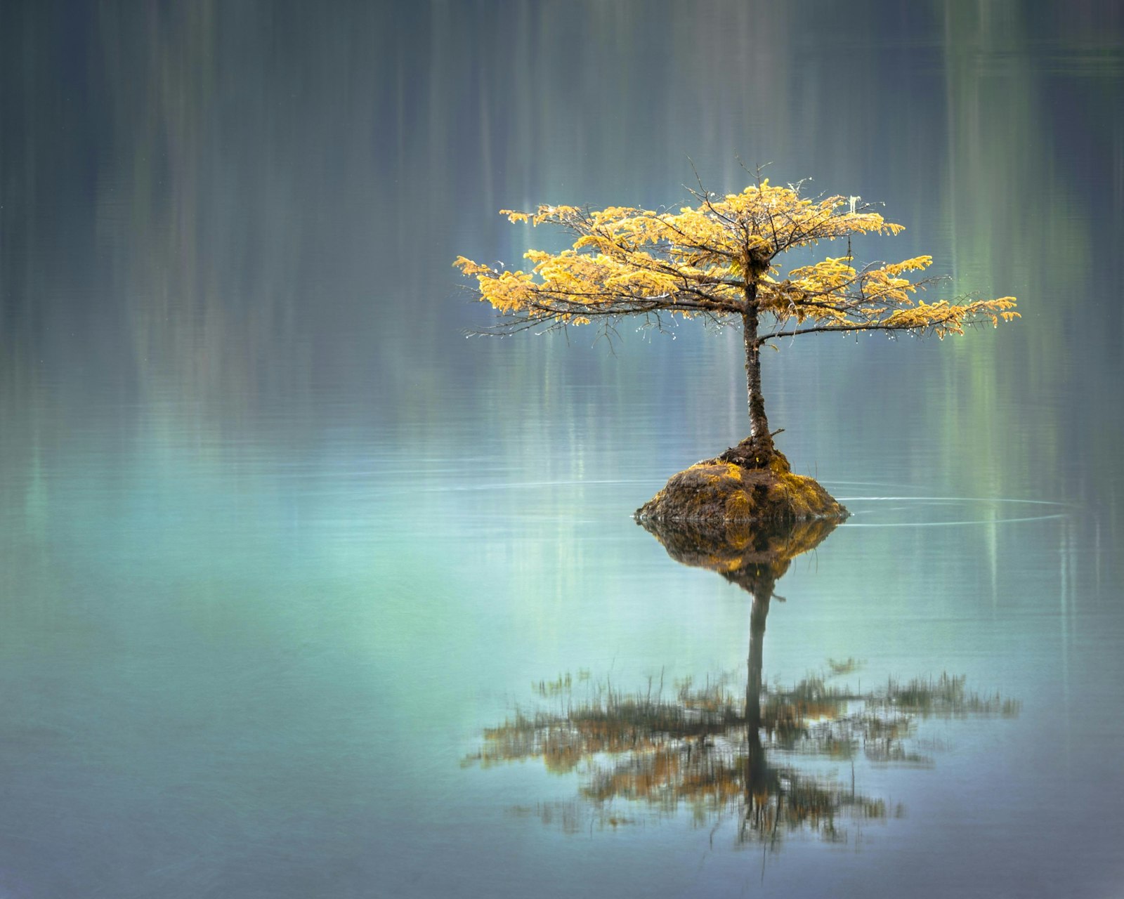What Is Energy Healing, Really?